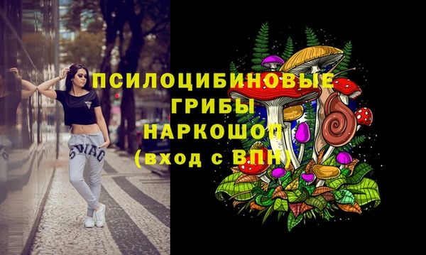 кокаин Богданович